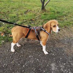 wp-1707311363757349163310413093607