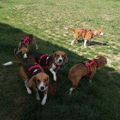 wp-17073113638356371774707040143100