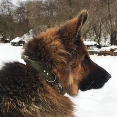 wp-17111115394932556736892124907915