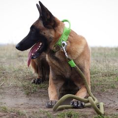 wp-1711111539712901052225216201917