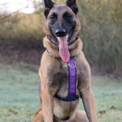 wp-17125745511308178961035835488368