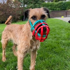 wp-17175996728375684345270860974508