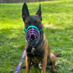 wp-17176747898957812672246340607289