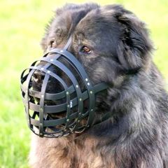 wp-17177481368568320776133393791373