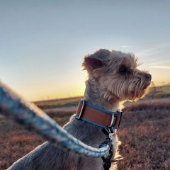 wp-1718021005629294389390566103837