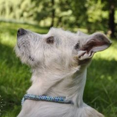 wp-17180210057206130376802795862666