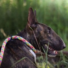 wp-1718021005750209381665659613051