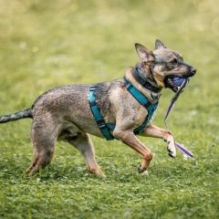 wp-17182637327857951921393167915707