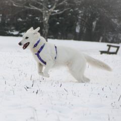 wp-17182637328064758033289806803902