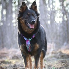 wp-17182641976422631792524770596492