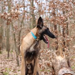 wp-17349561999436850594187247802385