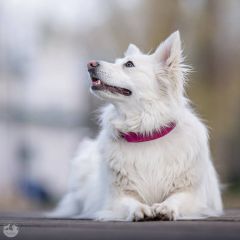 wp-17394481493558001484298040680239