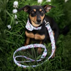 wp-17485987128811541195702902123493