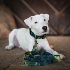 wp-17485987129525842972083333273967