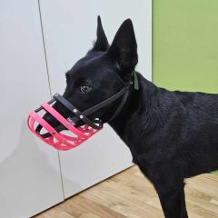 wp-1749207547305107055694349004676