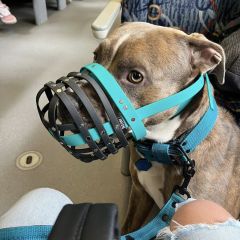 wp-17492075473368545126896152930034