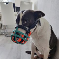 wp-17492075473625853132678641156126