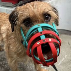 wp-1749207547384445318126414016742