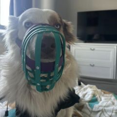 wp-17492075474083853160988817466447