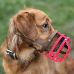 wp-17492075474544881634673157770222