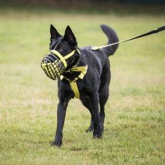 wp-17492075474786442446790882486363