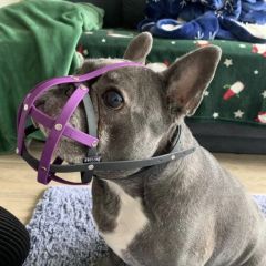 wp-17492075475024166395940669409579