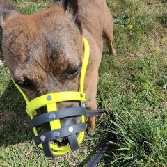 wp-17492075475513830492683966239572