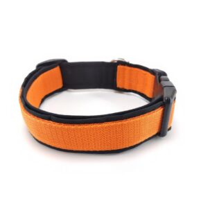 polish_20251113_160245394_copy_1280x1280829818742213416000