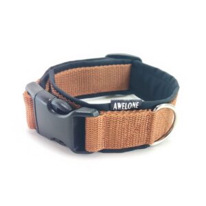 polish_20251113_160549459_copy_1280x12802774863729199522843