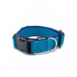 polish_20251113_161304023_copy_1280x12802308584743319945499