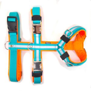 polish_20260218_145751739_copy_1280x12802571289361048293090